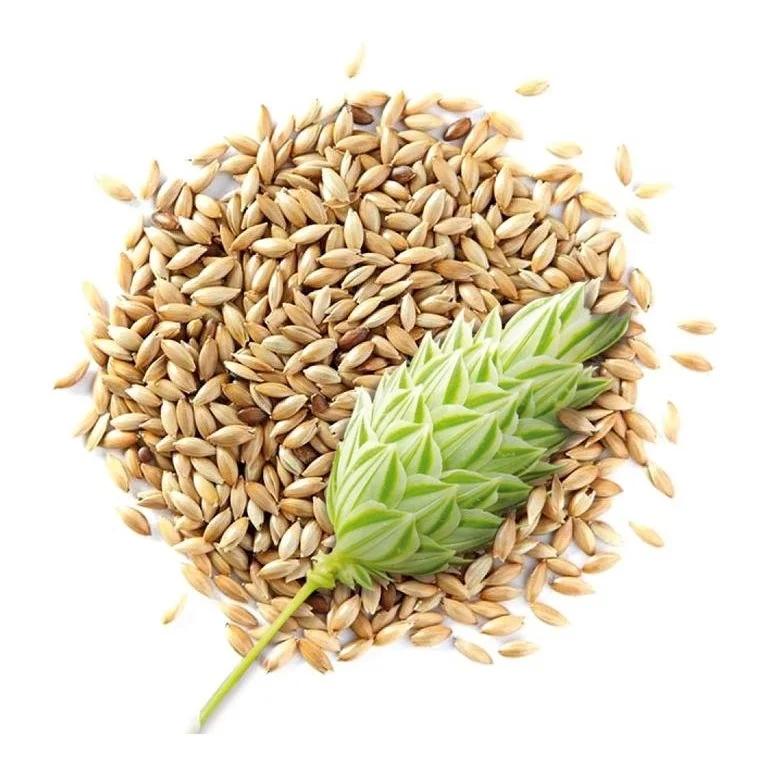 Bulk Stock Available Of Canary Bird Seeds Animal Feed At Wholesale Prices Buy Best Quality Hot
