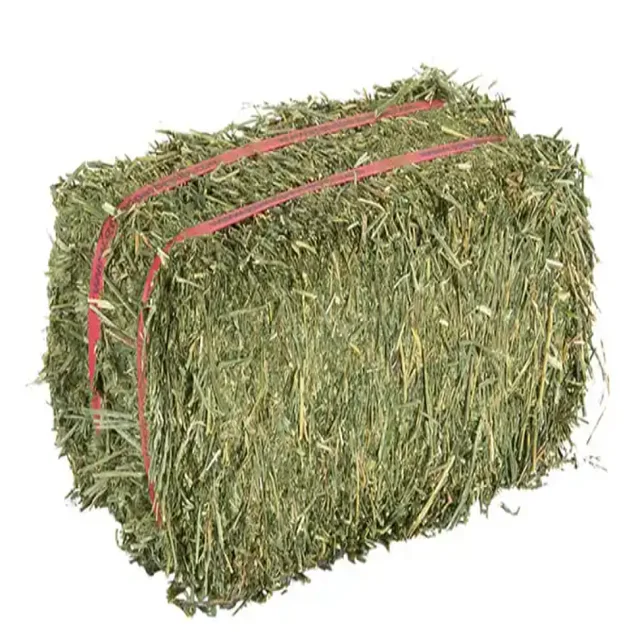Quality Alfalfa Hay Bays / Alfalfa Pellets / Dehydrated Alfalfa Cubes