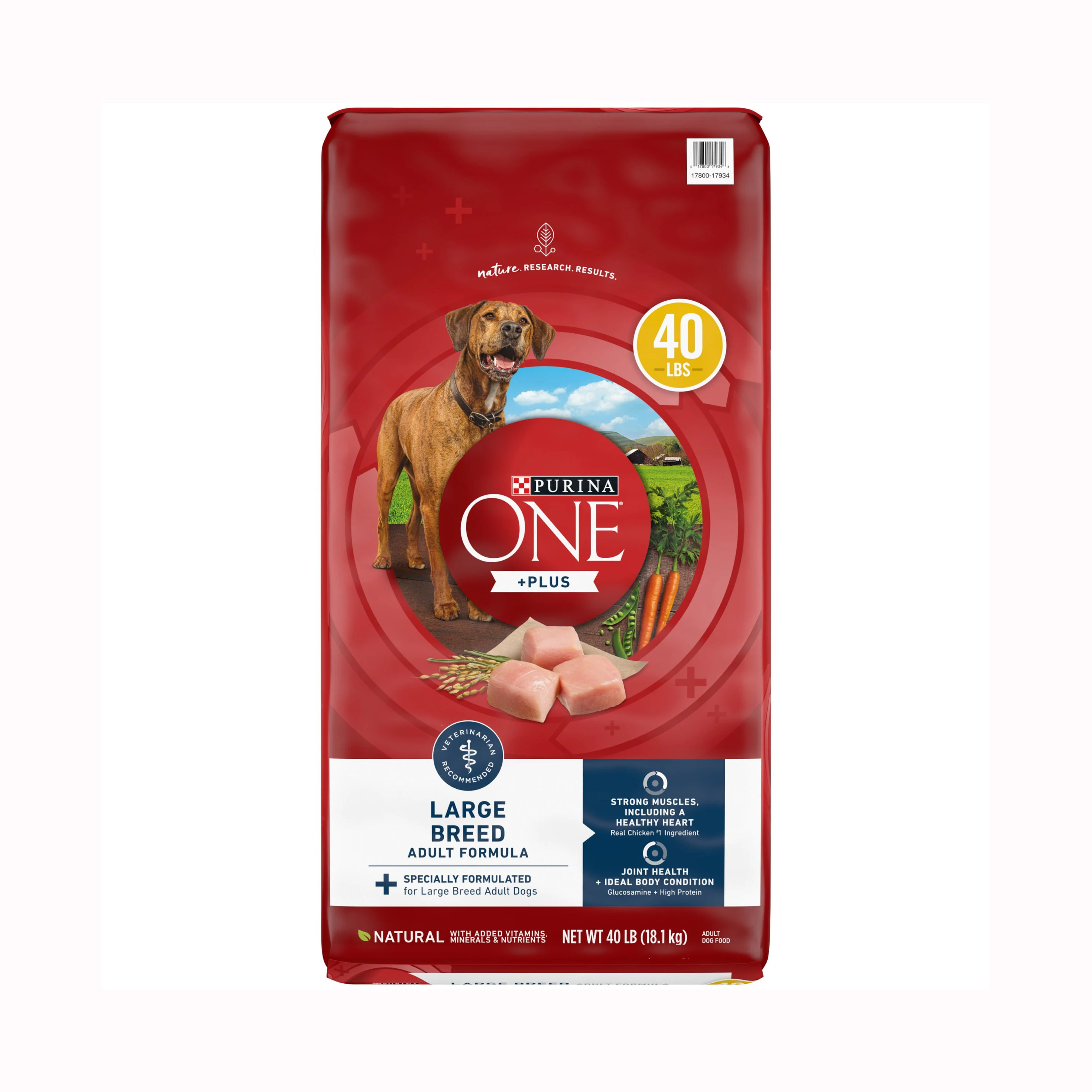 Purina Nestle Dog Chow Complete And Balanced Dry Dog Quality Cat Food 