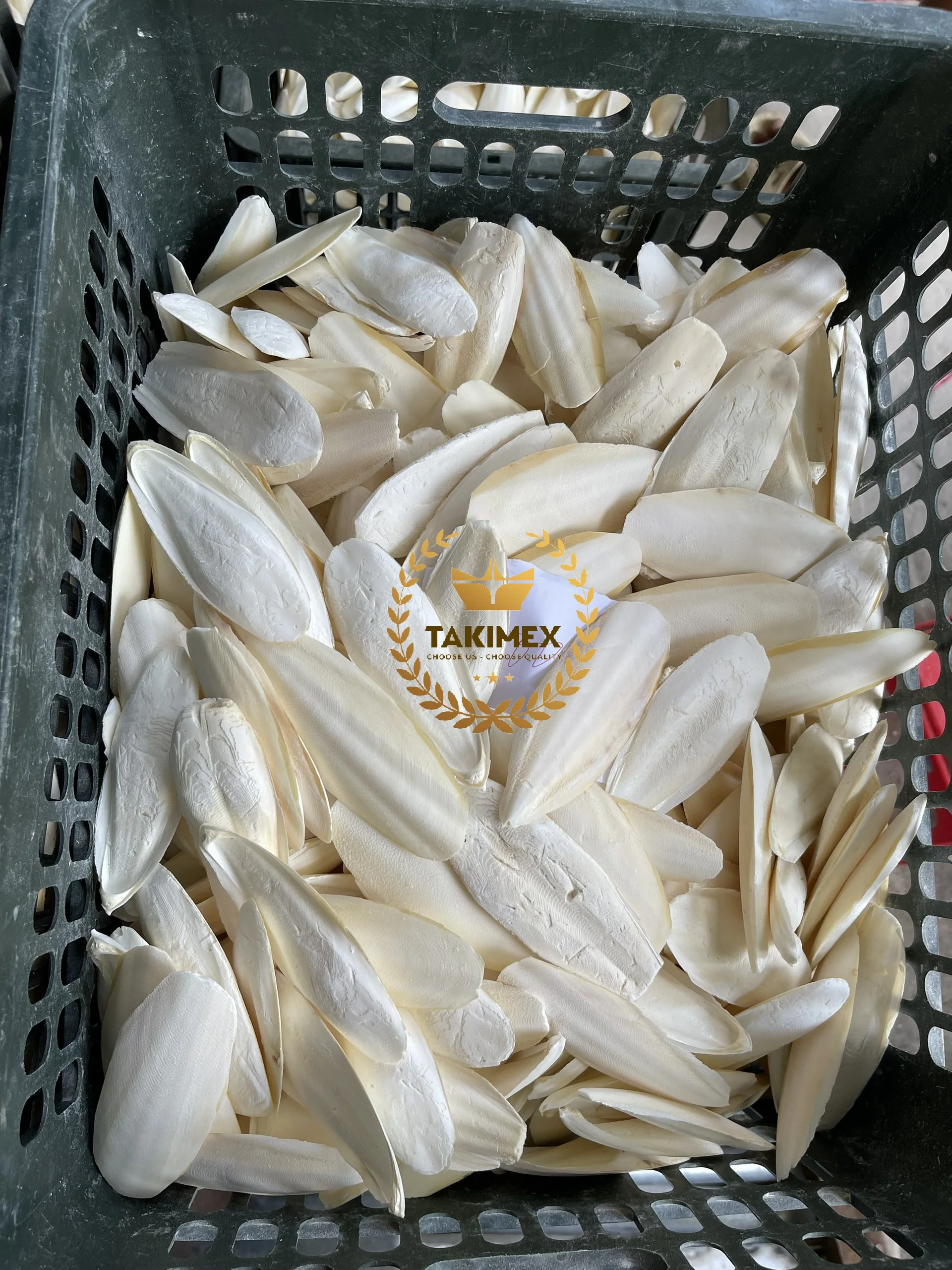 High Quality Dried Cuttlefish Bone From Vietnam For Animal Feed Buy