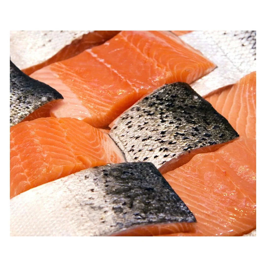 High Quality Frozen Salmon Whole Fish At Cheap Price Manufacturer From