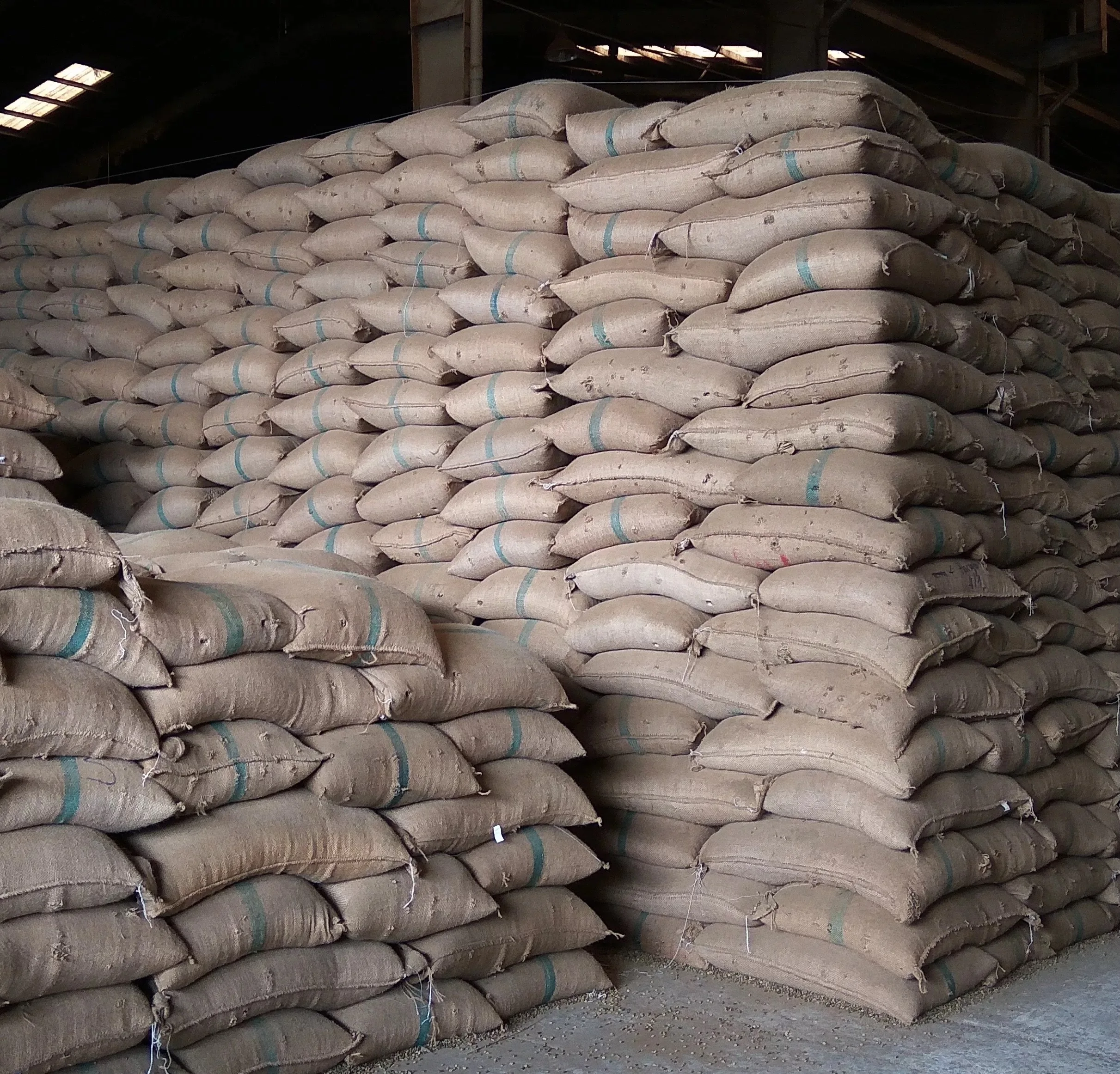 Wholesale Cheap arabica coffee beans premium coffee supplies arabica coffee beans