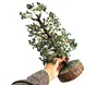 AS SHOWN IN PIC