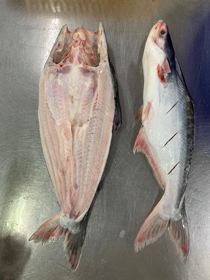 Замороженные филе рыбы IQF Pangasius Basa Tra Swai во Вьетнаме, упаковка 10 кг HACCP - TANIS IMEX CO., LTD