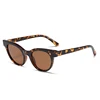 C3: Tortoise/ Brown