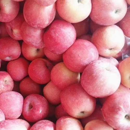 Fuji Apples
