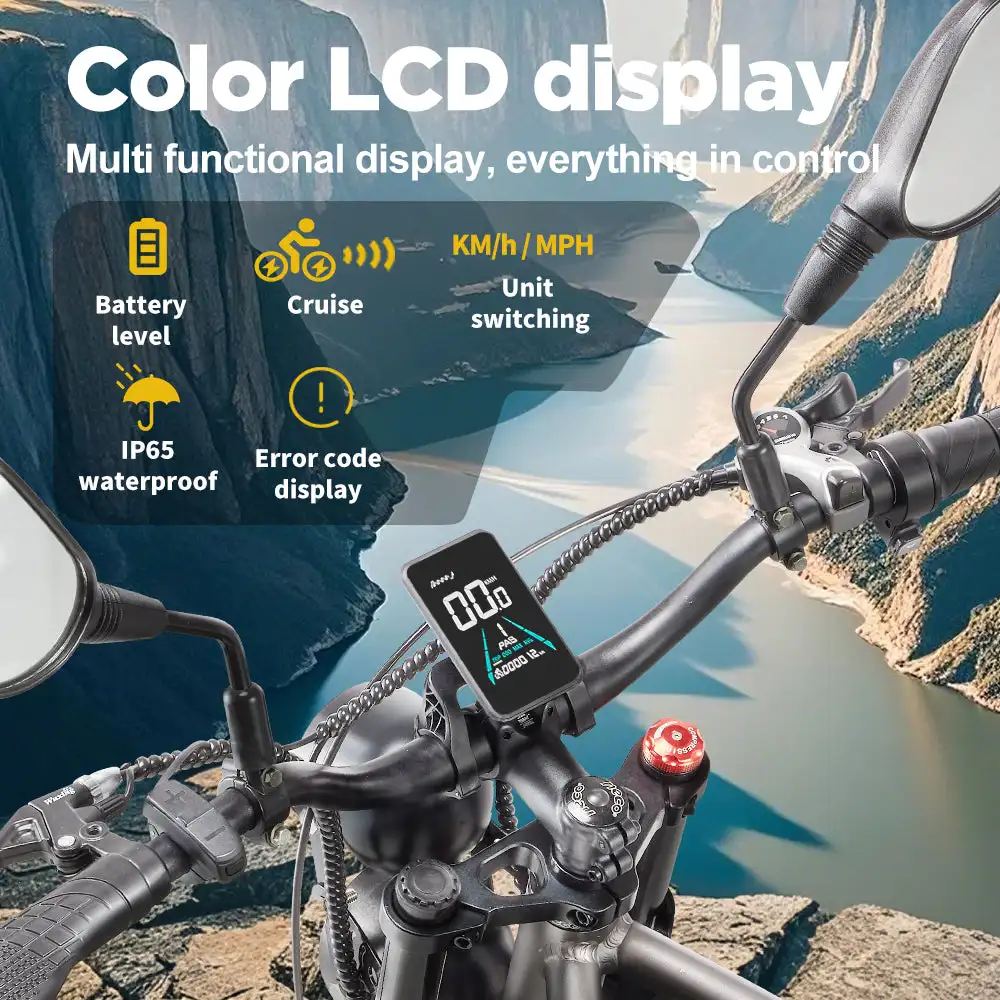 RANDRIDE DM711 20\" Electric Mountain Bike with 2000W 20Ah Dual Motors 60km Range 48v Lithium Battery 20\" Rear View Mirrors
