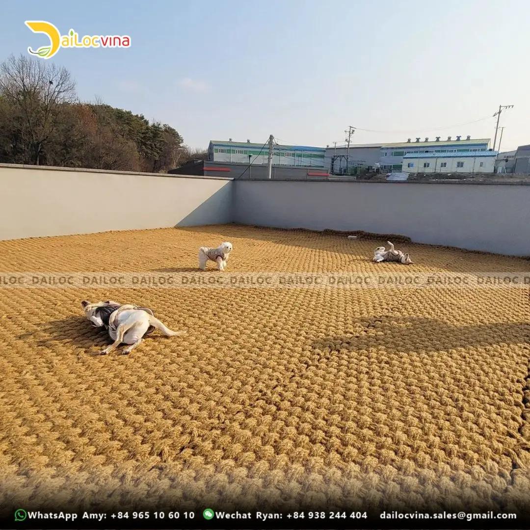 COCO PEAT COCO PITH COIR PITH COCOPEAT WHOLESALE GROW BAGS for GREEN ...