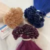 Customize color