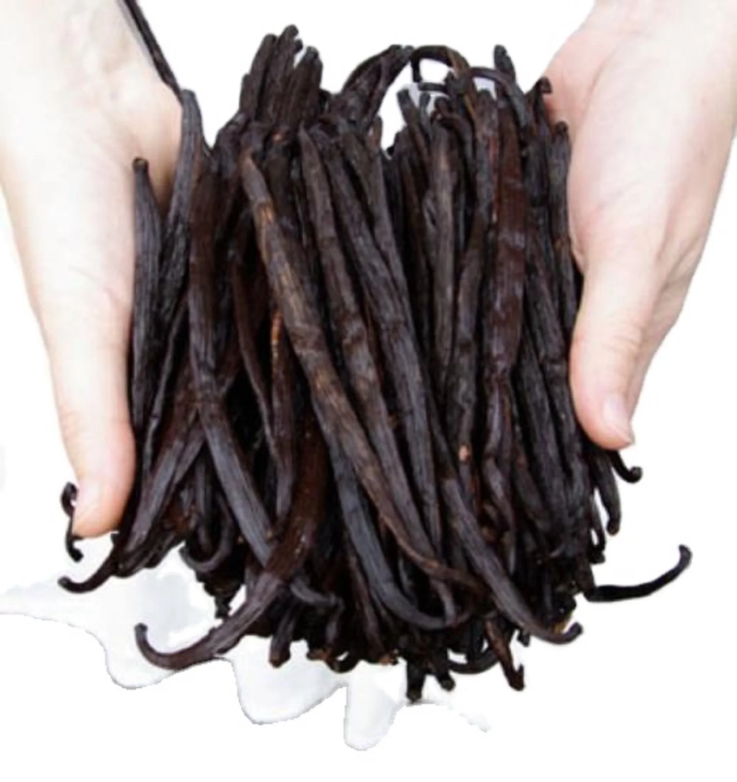 Hot Sale Vanilla Beans - Black Madagascar Vanilla beans - Vanilla Bean Wholesale Supply Best Quality