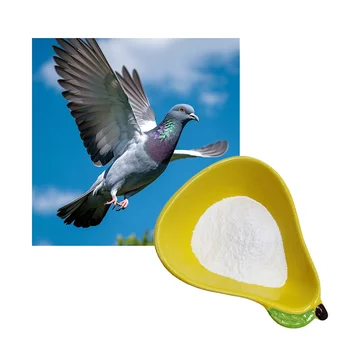 Pigeon Racing Supplements Pills Enhancing Animal Immunity Peptide Pigeon Feed Additive