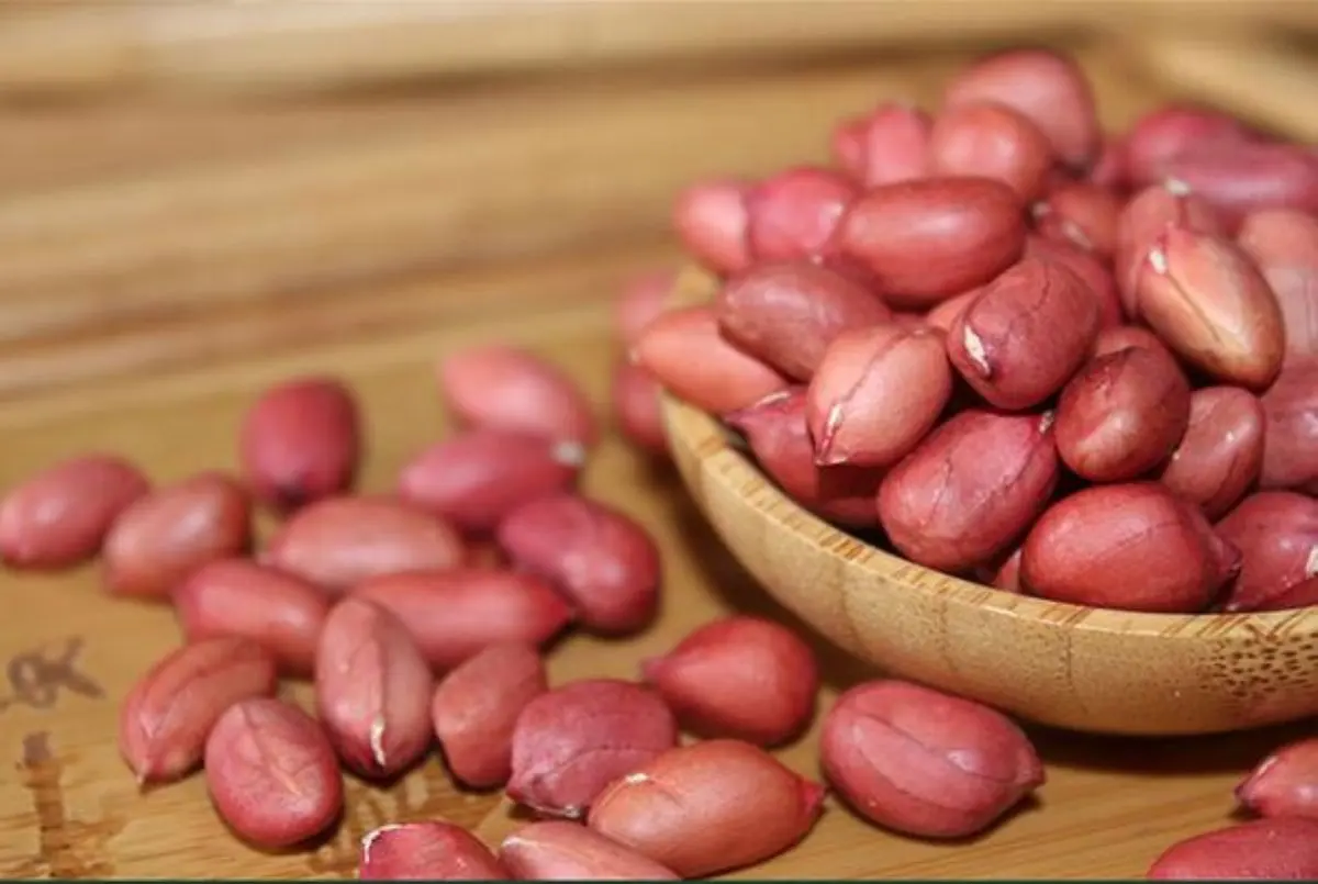 Wholesale Red Blanched Peanut Kernels Bold & Java Peanuts Dried Top Grade 25kgs Vacuum Packed China Origin