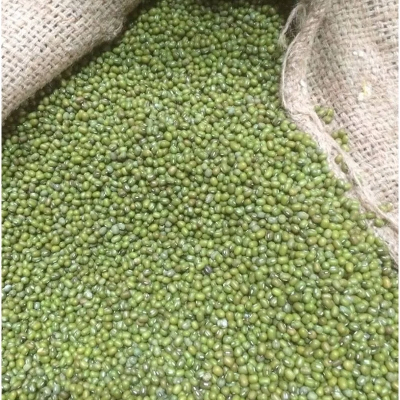 Green Mung Beans From Africa High Quality Germinated Mung Bean Ethiopia ...