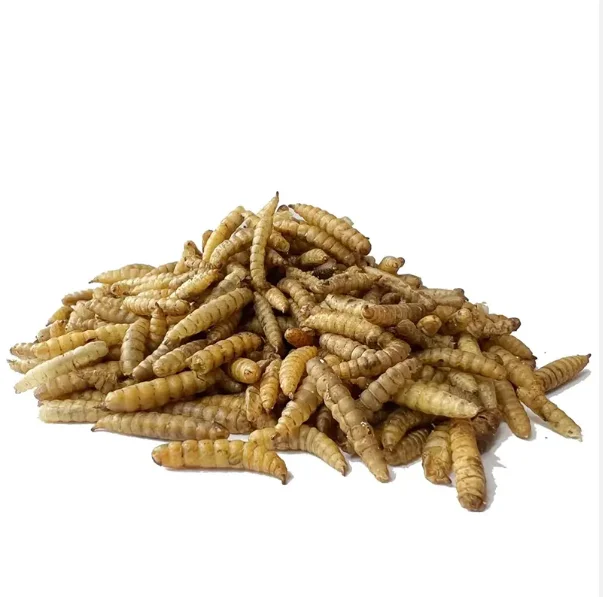 Dried Meal Worms/mealworms For Poultry Feed Animal Buy Meal Worms