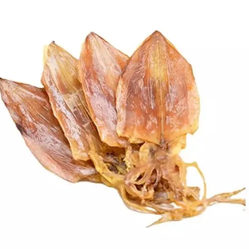 Dried Washed Cuttle Fish Bone,Fresh Cuttlefish Bone For Sale Buy Tuna