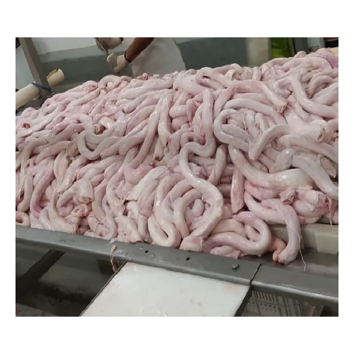 Best Price Frozen Beef Pizzle Halal Boneless Beef Meat