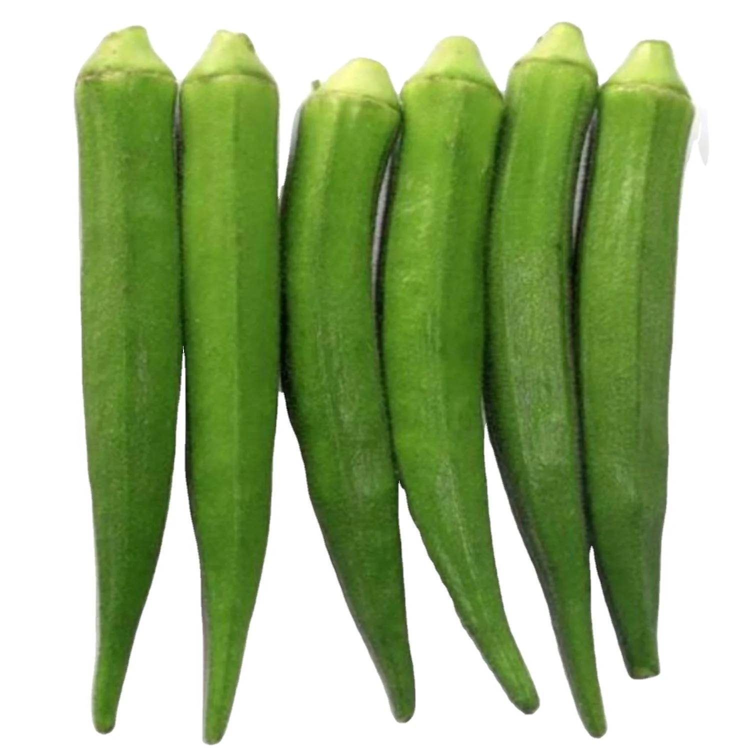 Открытый опылитель Okra Pusa Sawani / Okro (Op) Verity для