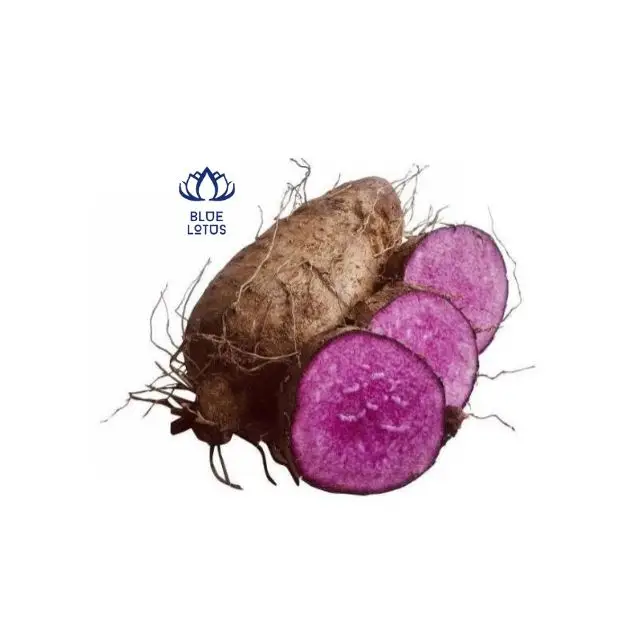 Exporting From Vietnam With Best Price for Purple Yam