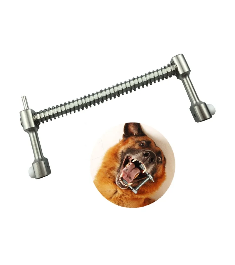 Surgical Veterinarian Animal Pet Veterinary Instruments Stainless Steel