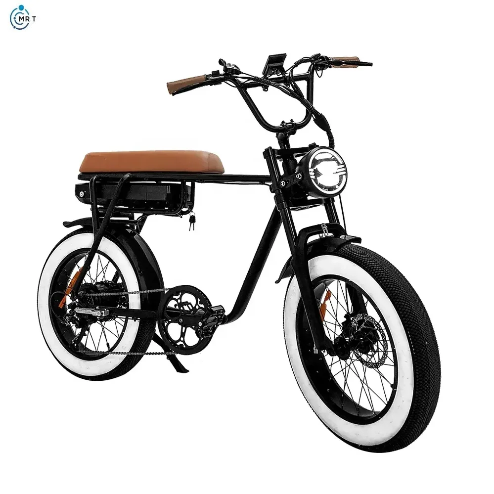 500w 750w 1000w Best Hot Price Discount Electric Mountain Bike New