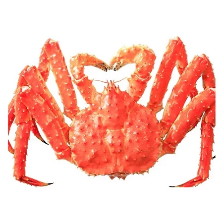 Hot Selling Frozen King Crab Legs Wholesale / Buy  Red King Crab Legs / Wholesale Alaskan King Crab For Sale