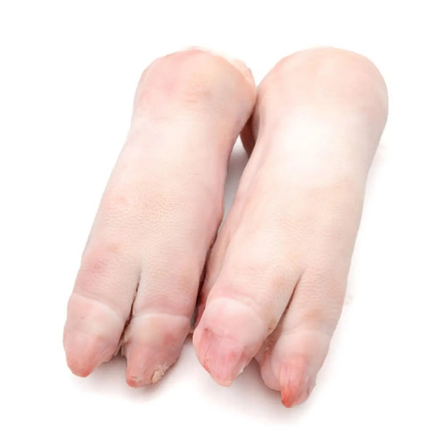 Frozen Pork Feet Pig Feet / Frozen Pork For Export Buy Wholesale
