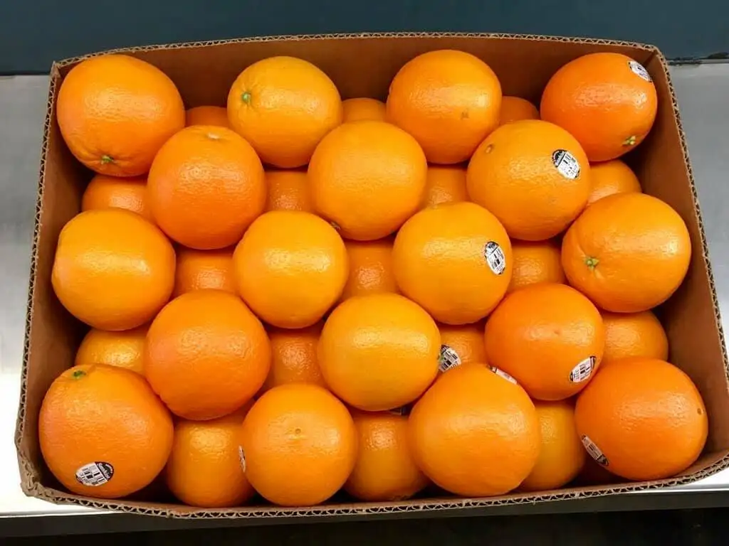 Fresh Navel Orange /fresh Mandarin Orange/south Africa Oranges Buy Fresh Fruits,Fresh Mandarin