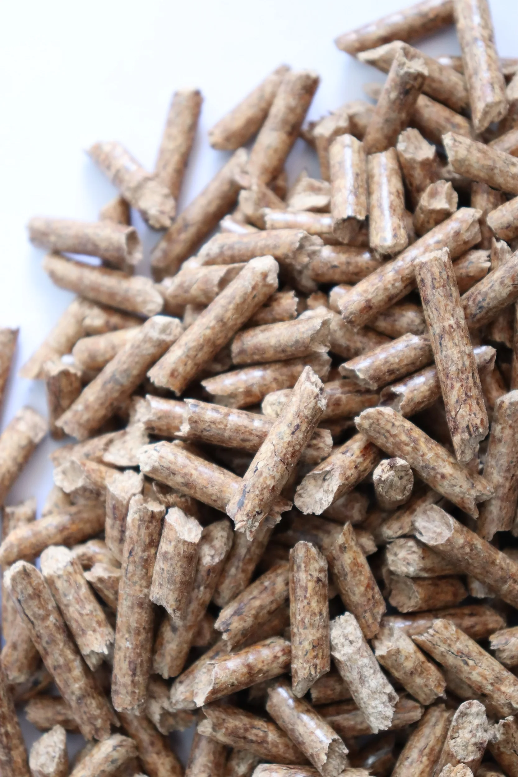 Pinewood Eco Friendly Biomass Pellet 6 Mm (15 Kg Bag) Manufacturer Of