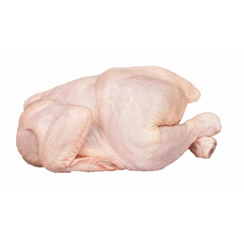 frozen-chicken-chicken.png