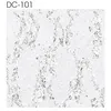 DC-101
