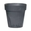 Antracite
