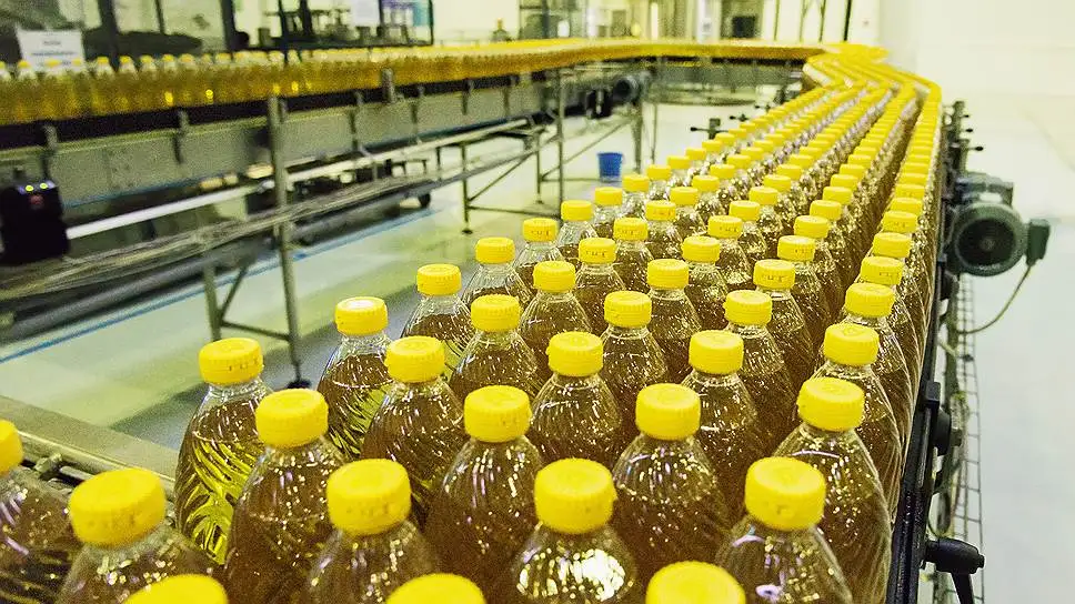 Sunflower Oil Rich 100 Pure Sunflower Oil Is Extracted Refined