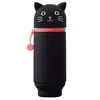 BlackCat