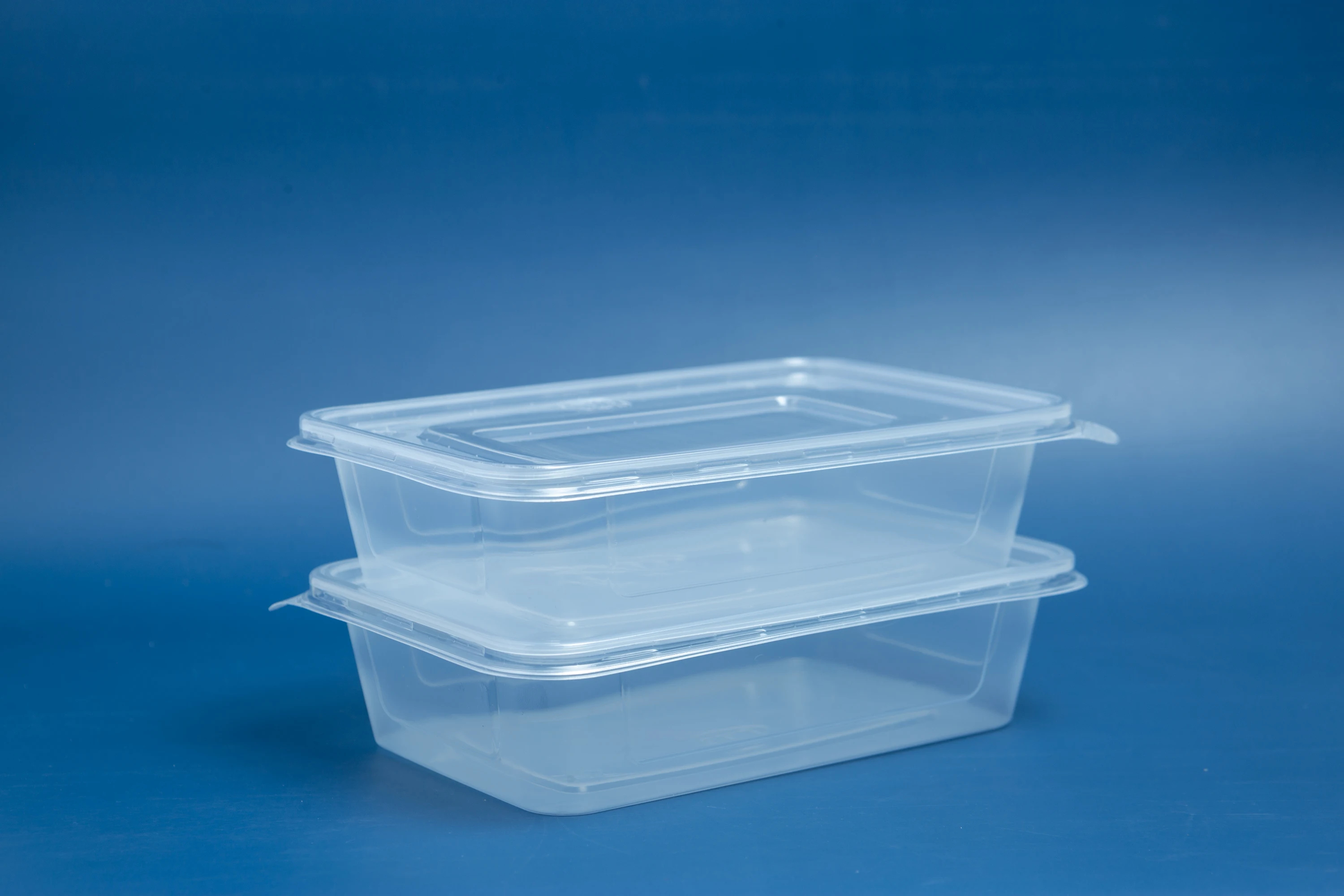 Oem Disposable Rectangle Shape Plastic Box With Lid For Food Customized ...