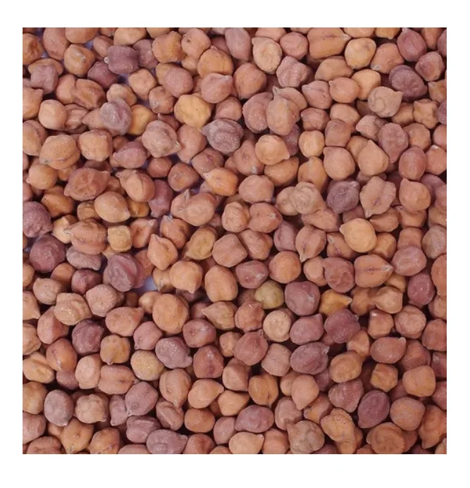 Черный горох натуральный органический Дези нут хорошее качество дешевая цена гороховые бобы для продажи