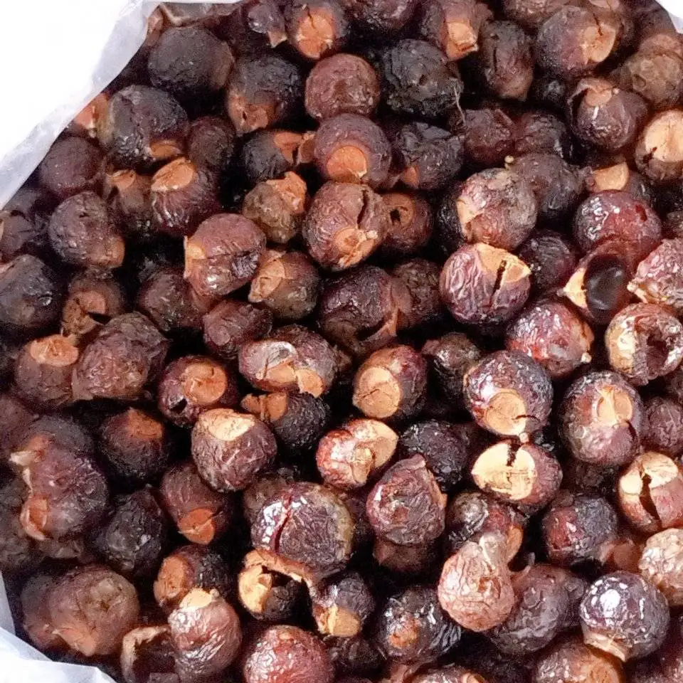 VIETNAM SOAPNUT SOAPBERRY