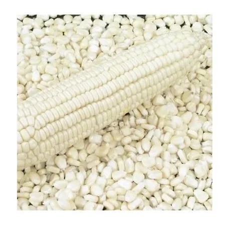 Yellow Maize Corn Animal Feed