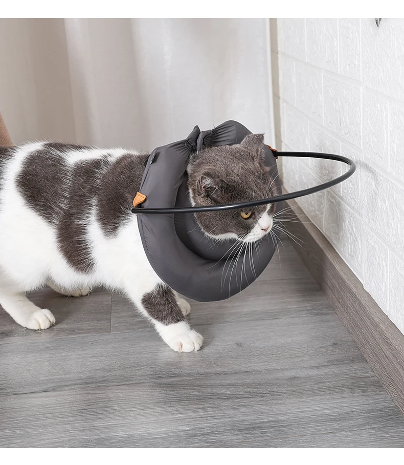 Doglemi Blind Dog Accessories Guiding Device Pet Anticollision Harness