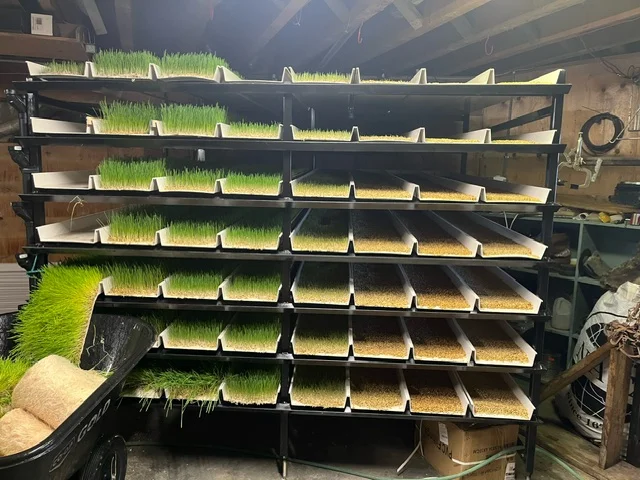 animal fodder system