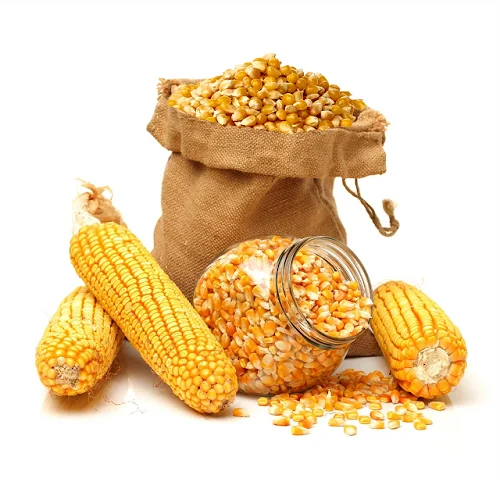 Wholesale Price Yellow Maize Corn
