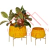 Antique Yellow
