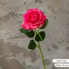 Rose Madder