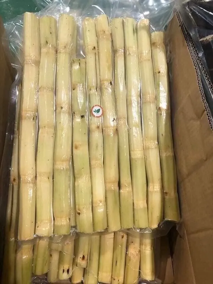 Top Product Delicious Frozen Sugar Cane Ready To Export Buy Sugar
