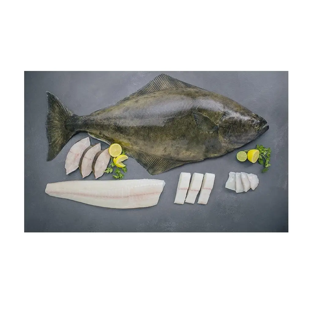 Best Quality Frozen Atlantic Halibut Fish Fresh Stock Bulk Wholesale