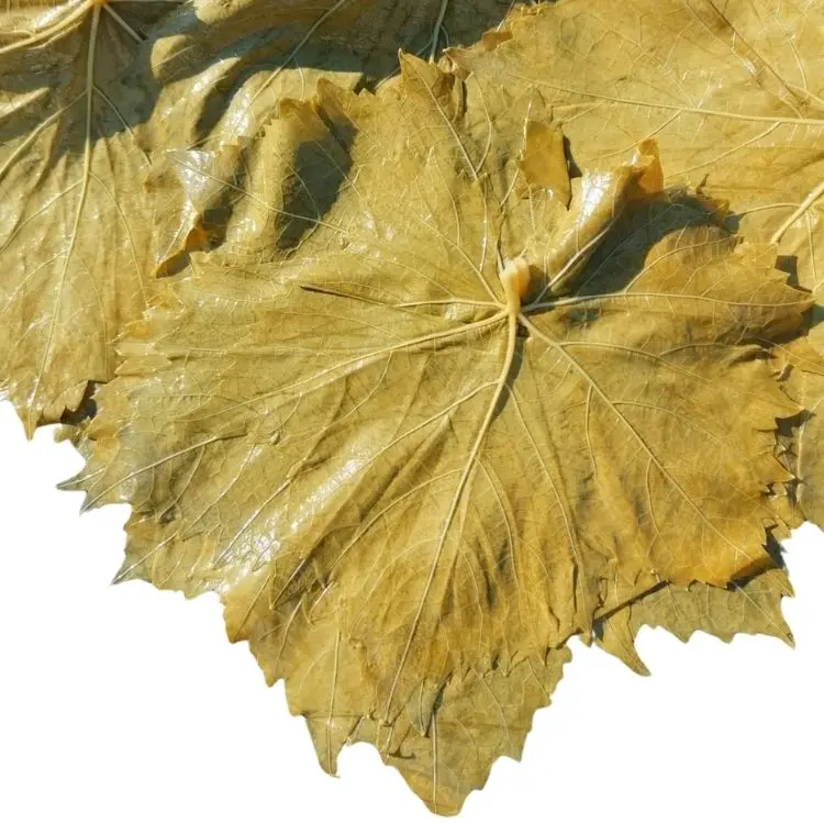 Turkish Grape Leaves In Brine (sultana Leaves Pickled) With Stems Or