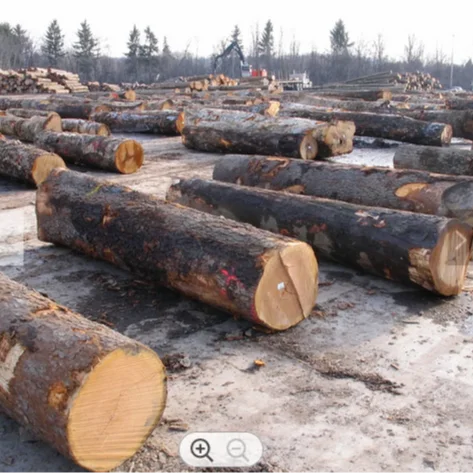 DOUGLAS FIR LOGS| Alibaba.com