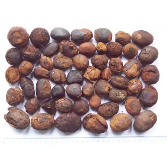 2024 Block Sheep Packaging Color Pure Material Shelf Raw cattle gallstone ox gallstones and best quality cow bezoar for sale