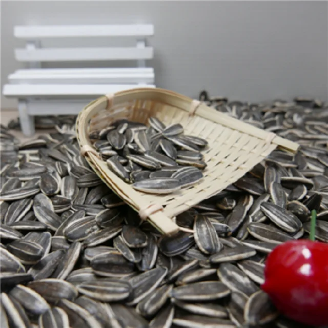 2023 Wholesale Large Sunflower Seeds Black White 361 Raw Sunflower