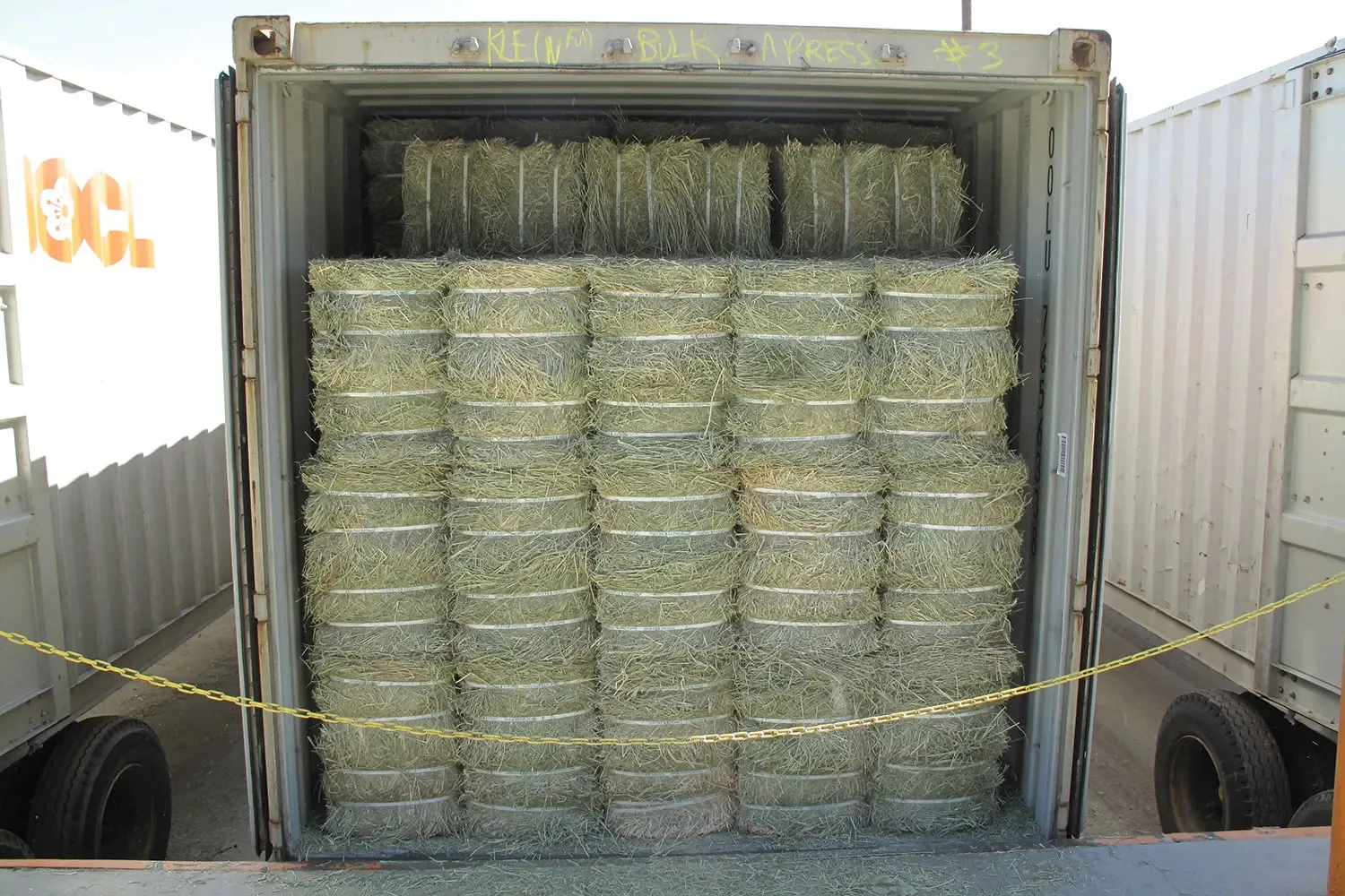 Fresh Alfalfa/lucerne Hay In Bales And Pellets Available - Buy Fresh ...