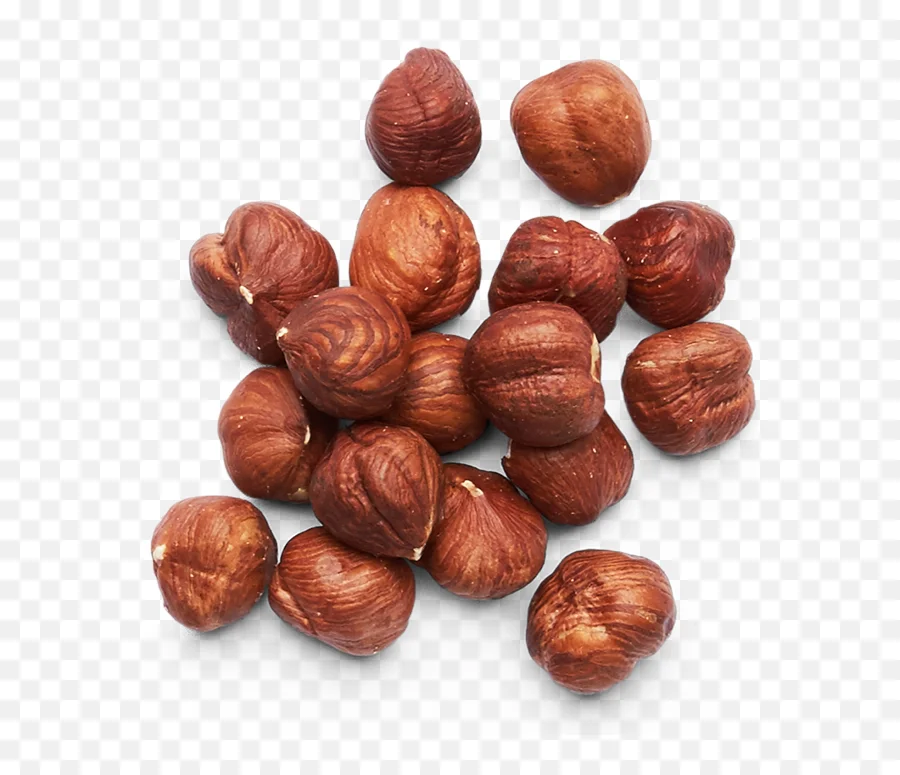 Очищенные орехи фундук. Лесной орех (Hazelnut). Фундук Римский (120-140 см). Орех фундук. Фундук (Лесной орех).